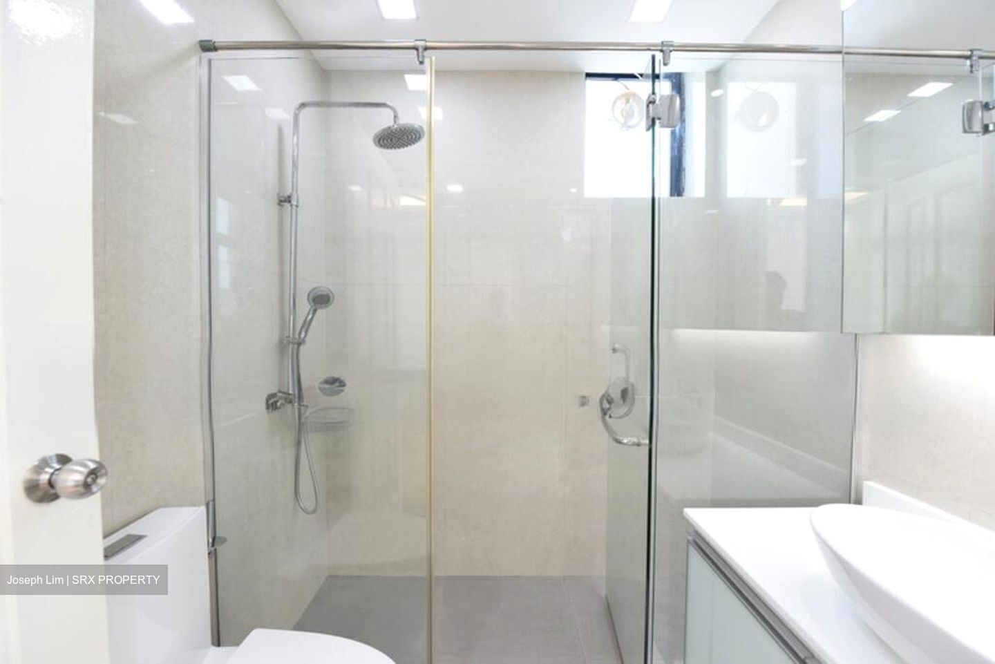 Spring Grove (D10), Condominium #523143641